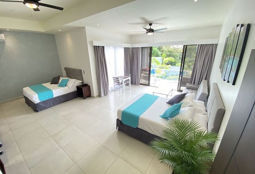 프리미엄 4인룸, Naoz