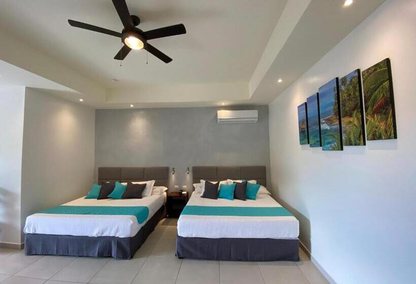 프리미엄 4인룸, Naoz