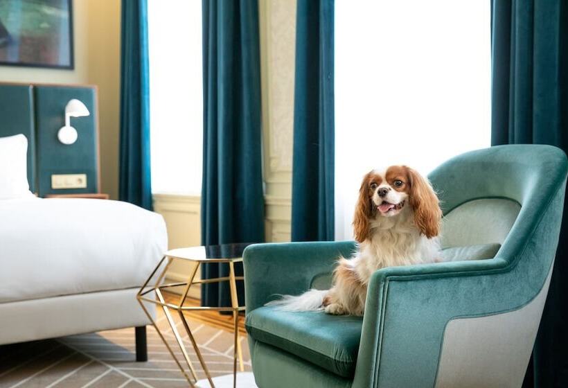 اتاق لوکس, Sapphire House Antwerp, Autograph Collection