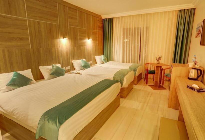 اتاق خانوادگی, Turquoise