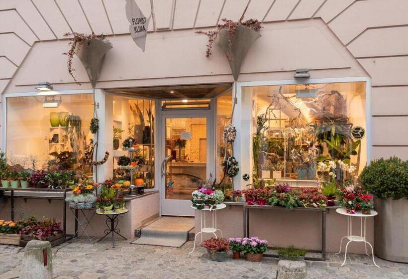 Люкс, Limehome Linz Friedrichstraße