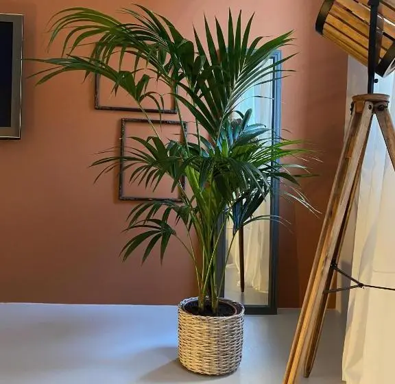 デラックスルーム, Casimiro Rooms