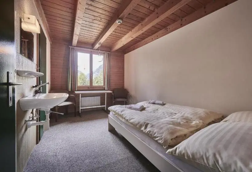 スタンダードルーム, Alpine Base Hostel Adults Only