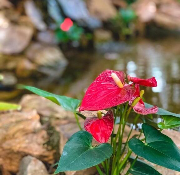 غرفة ديلوكس, Chalé Rústico Retiro Andaluz