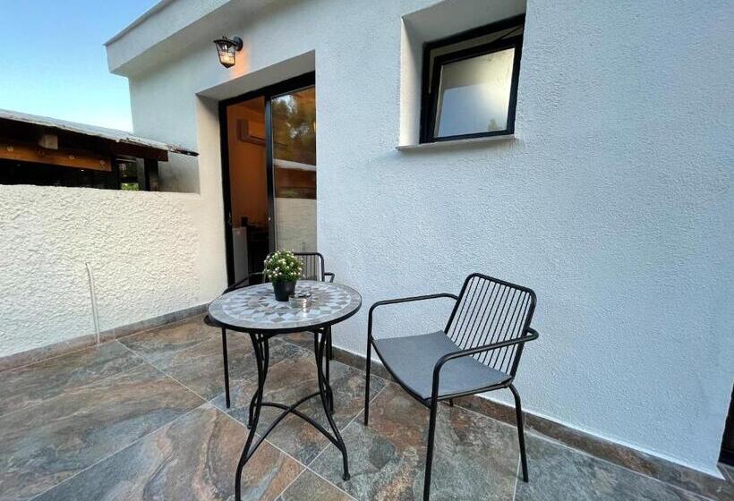 اتاق لوکس با چشم‌انداز باغ, Villa La Vida