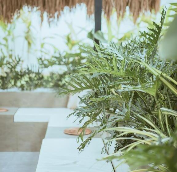 سرير فى غرفة مشتركه, Ultra Mint Dive Resort