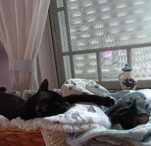 빌라 1 베드룸 - 수영장, Villa Shardana B&b