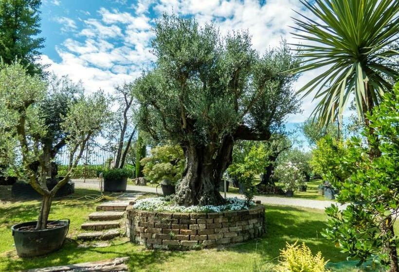 高级大房间, Agriturismo Il Glicine Bianco