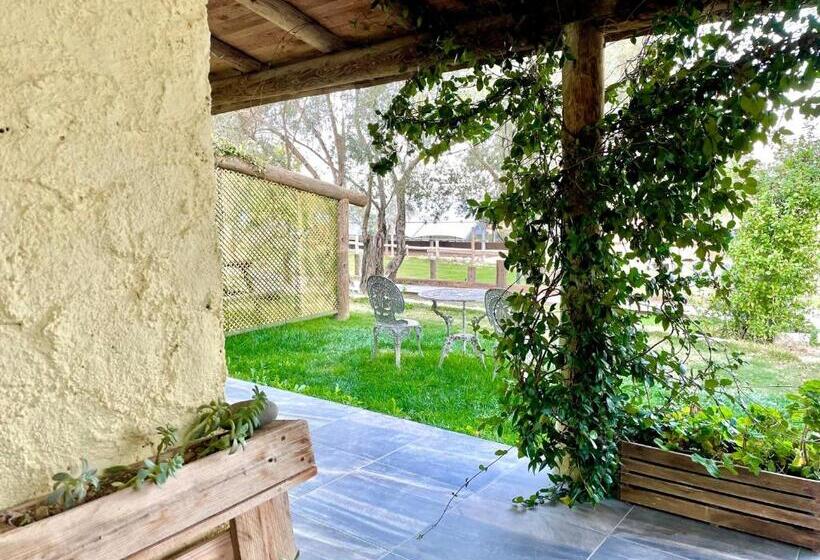 سوئیت با وان آب گرم, Manej Urla