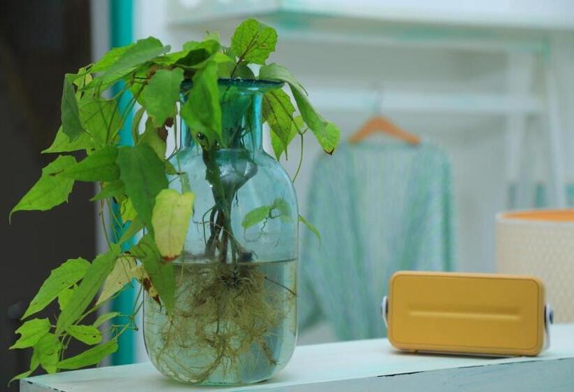 Номер Стандарт Вид на Море с Балконом, Trinco Beach By Dsk