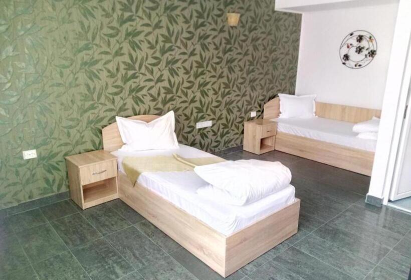 חדר סטנדרט, Camere De Inchiriat Carpati