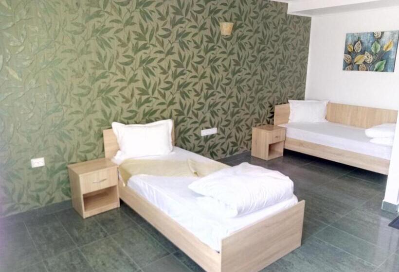 חדר סטנדרט, Camere De Inchiriat Carpati