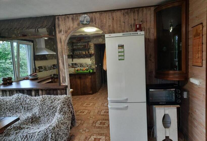 شاليه غرفة نوم واحدة, Kitica House