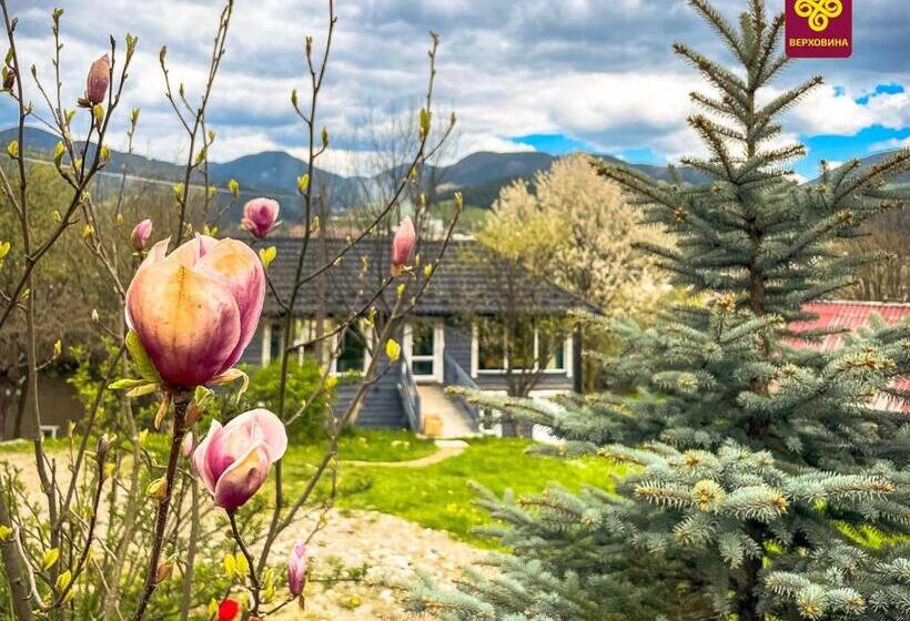 Апартаменты 1 Спальня с Видом, Kitica House