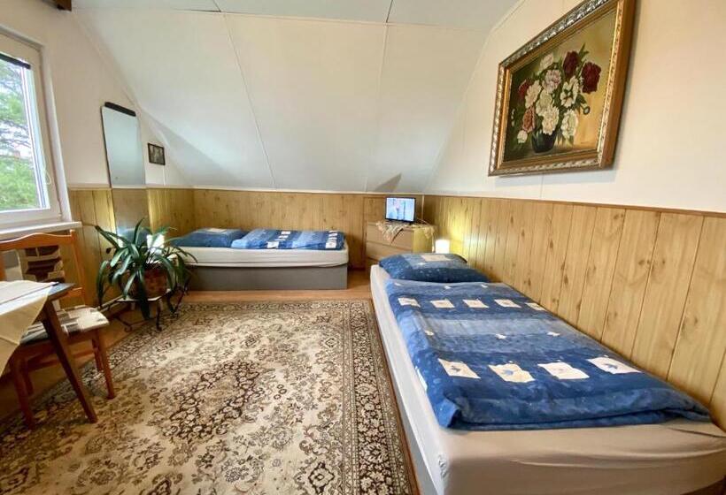 스탠다드 룸, Penzion Wanda