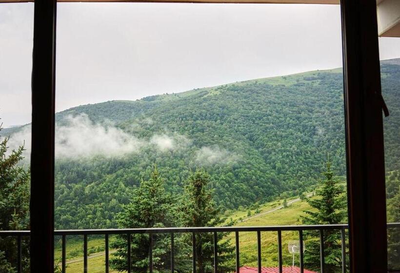 غرفة قياسية, Ani Resort