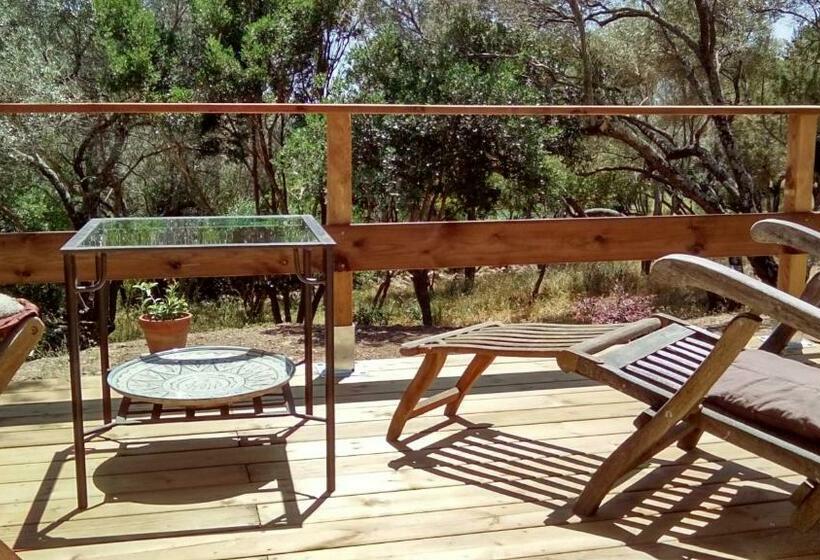 اتاق استاندارد با تراس, Maison Tavolara