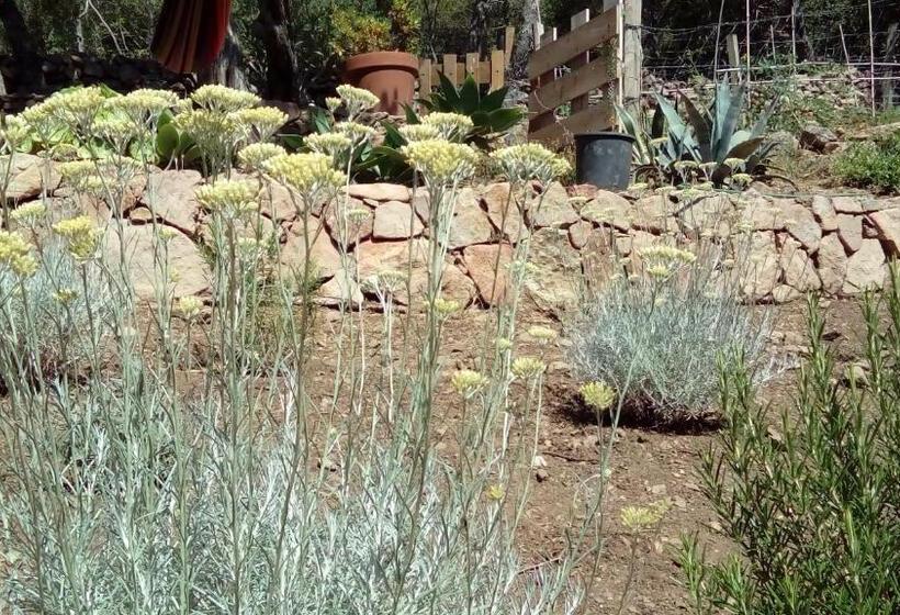 اتاق استاندارد سه نفره, Maison Tavolara