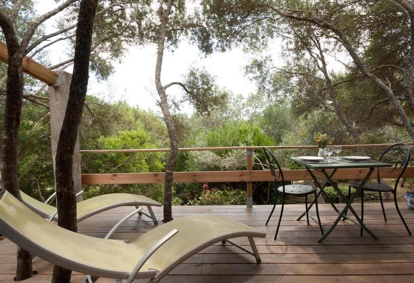 اتاق استاندارد اینتریور, Maison Tavolara