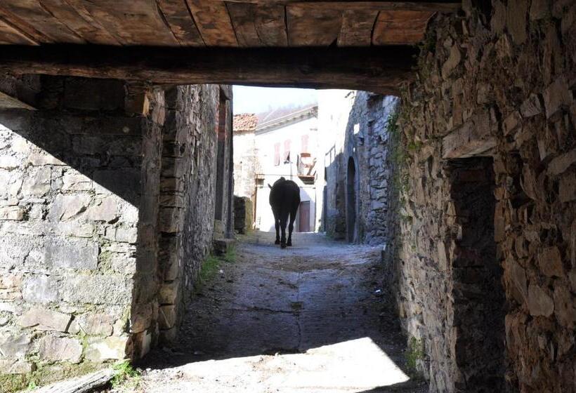 スタンダードルーム, Agriturismo B&b Luna Di Quarazzana In Fivizzano Tuscany