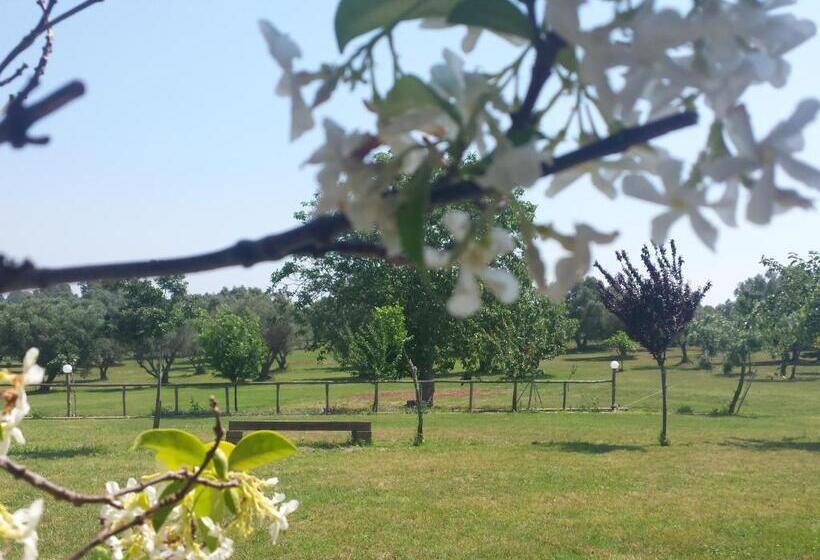 标准间, Agriturismo San Matteo