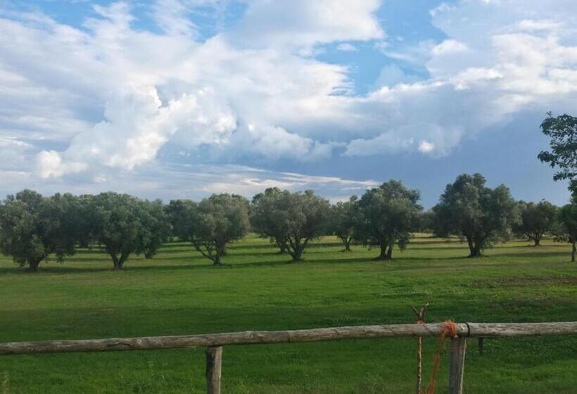 标准间, Agriturismo San Matteo