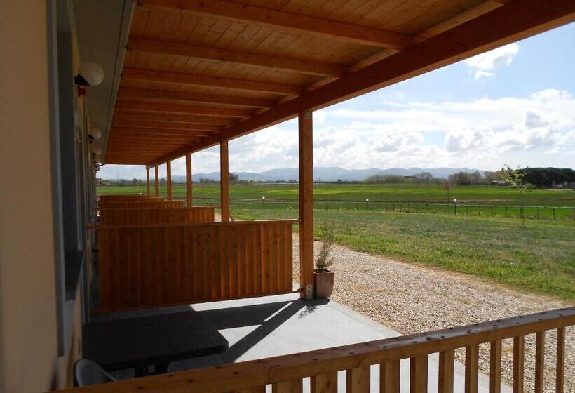 Номер Стандарт, Agriturismo San Matteo
