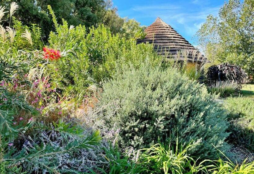 بنجلو ديلوكس, Is Cheas Wine Farm Boutique