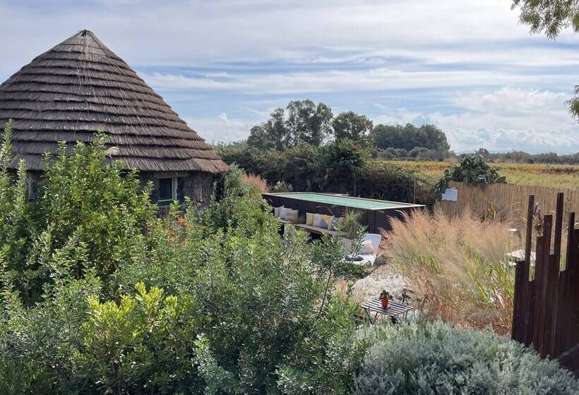 بنجلو قياسى, Is Cheas Wine Farm Boutique