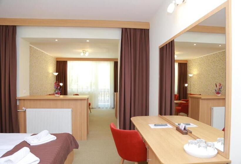 주니어 스위트 발코니, Muresul Health Spa