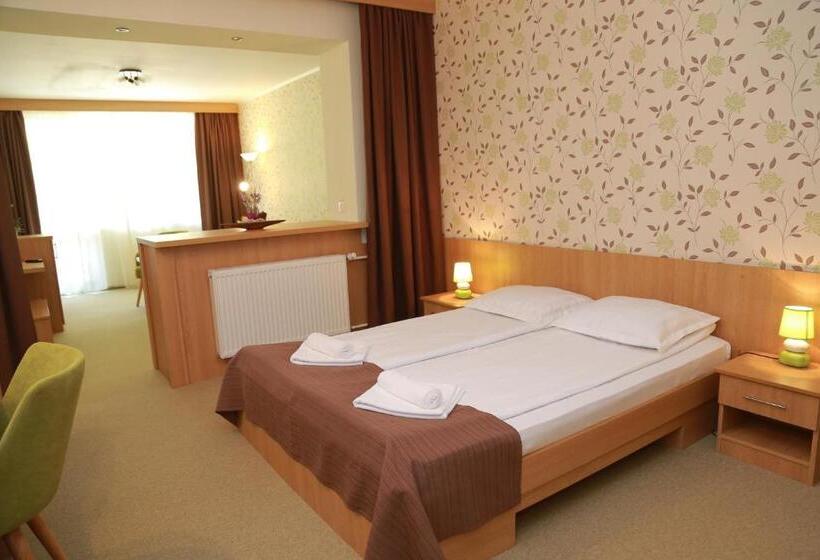 Полулюкс с Балконом, Muresul Health Spa