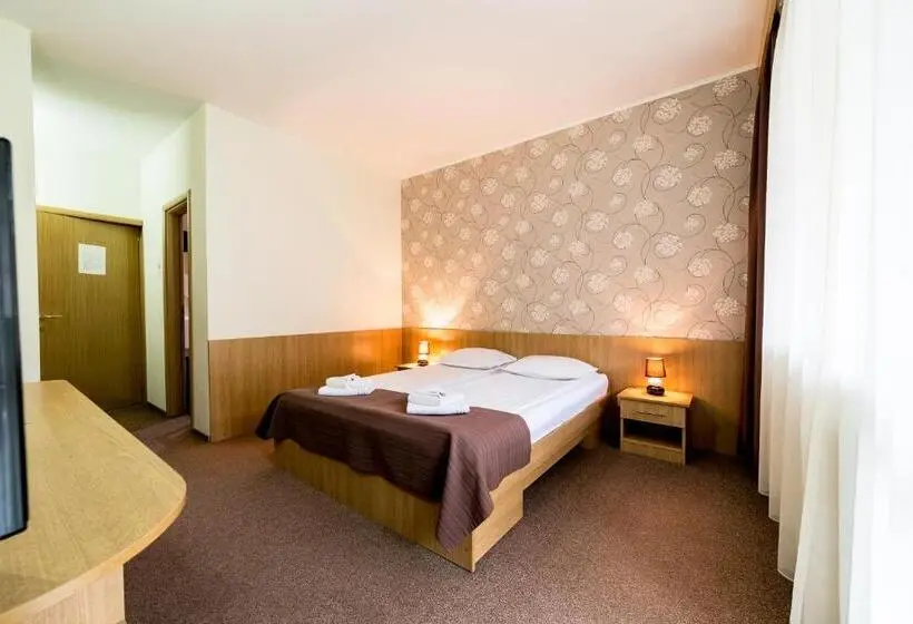 اتاق استاندارد با دسترسی به اسپا, Muresul Health Spa