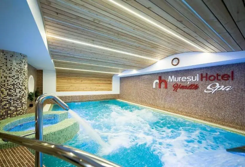 اتاق استاندارد با دسترسی به اسپا, Muresul Health Spa