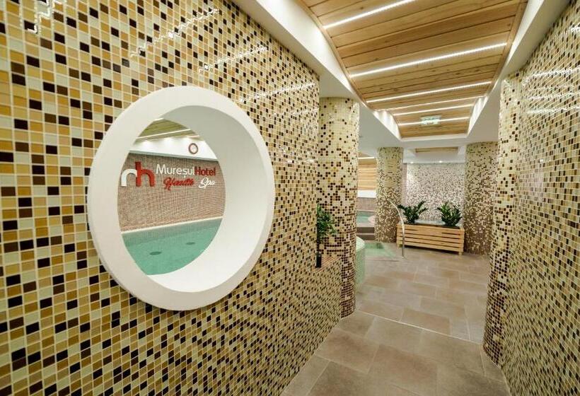 Номер Стандарт с доступом в Спа, Muresul Health Spa