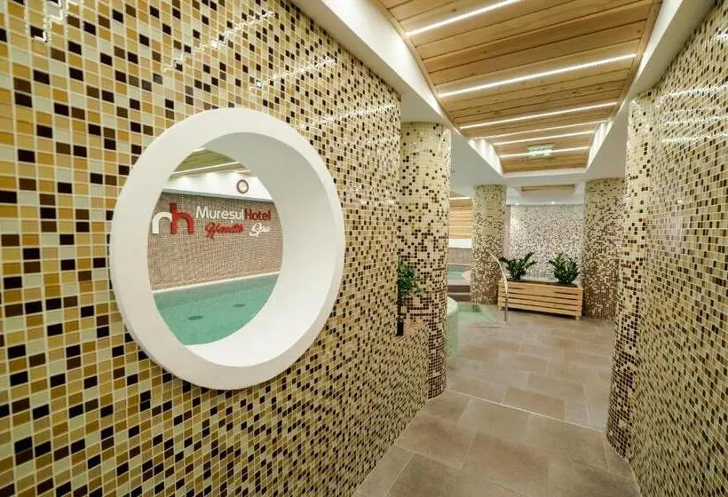 اتاق استاندارد با دسترسی به اسپا, Muresul Health Spa