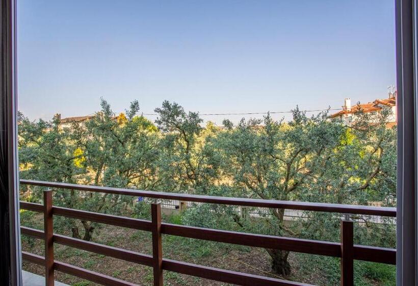 标准房带园景, Zeytin Bahcesi