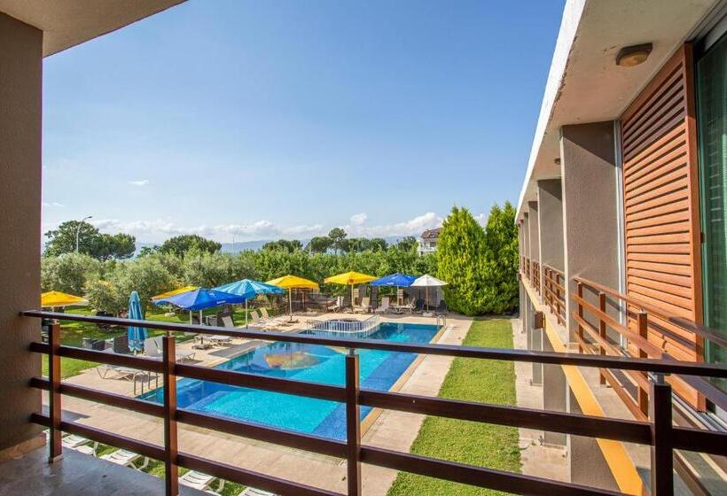 标准三人间, Zeytin Bahcesi