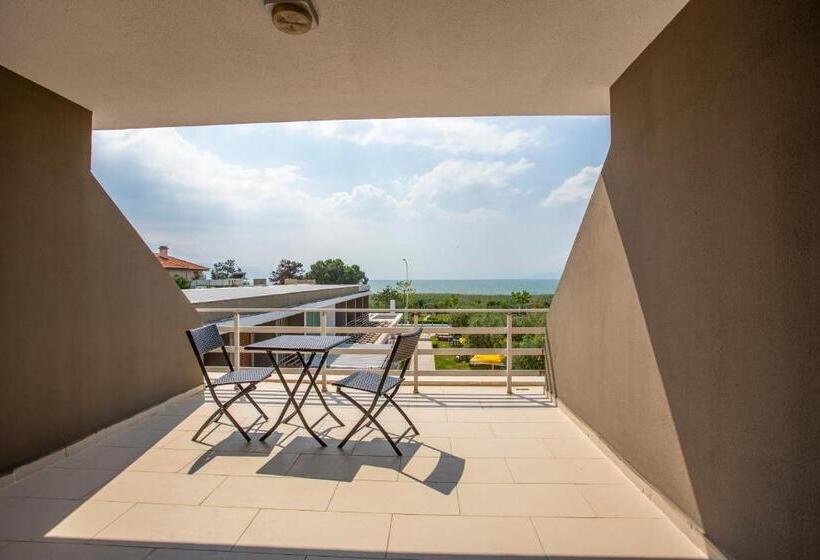 带大床的标准间, Zeytin Bahcesi