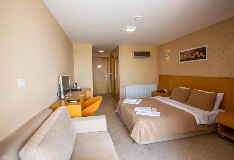 带大床的标准间, Zeytin Bahcesi