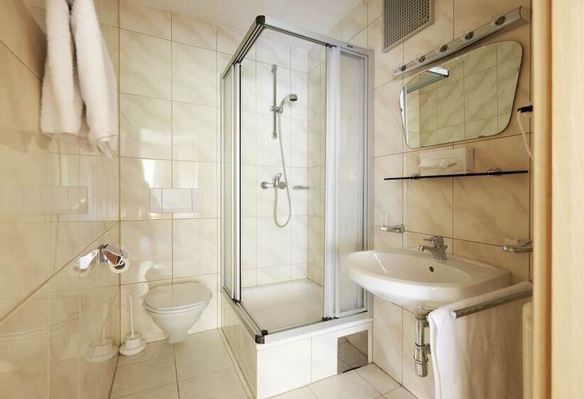 Номер Basic, Alpenhotel Laurin