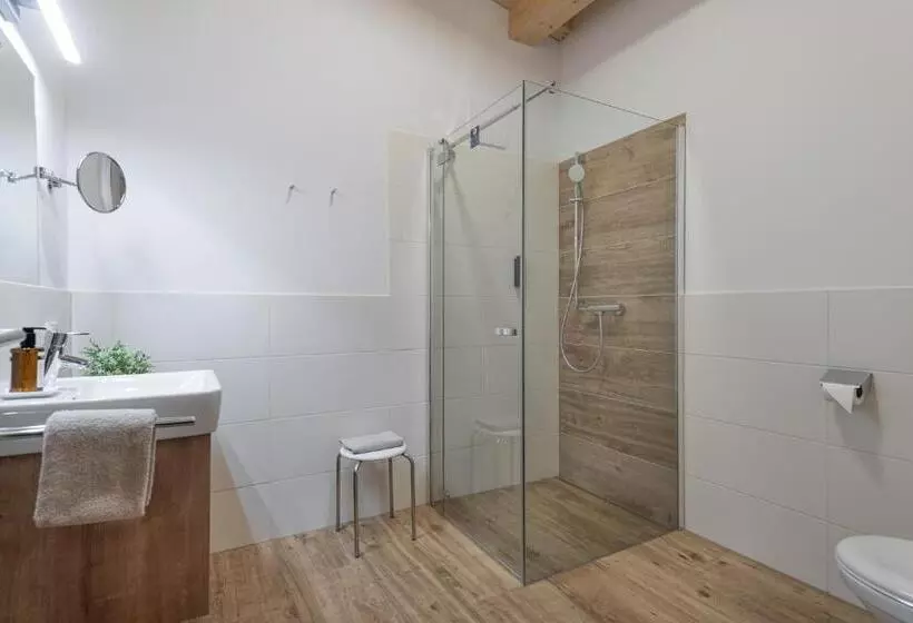 １ベッドルームペントハウスアパート, Alpenparks Hotel Montana Matrei