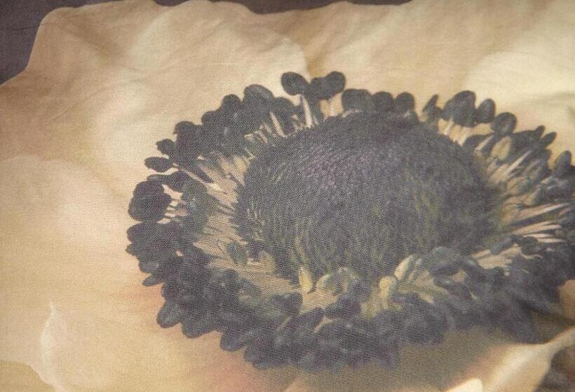 Люкс, Cit Hotel Des Messageries