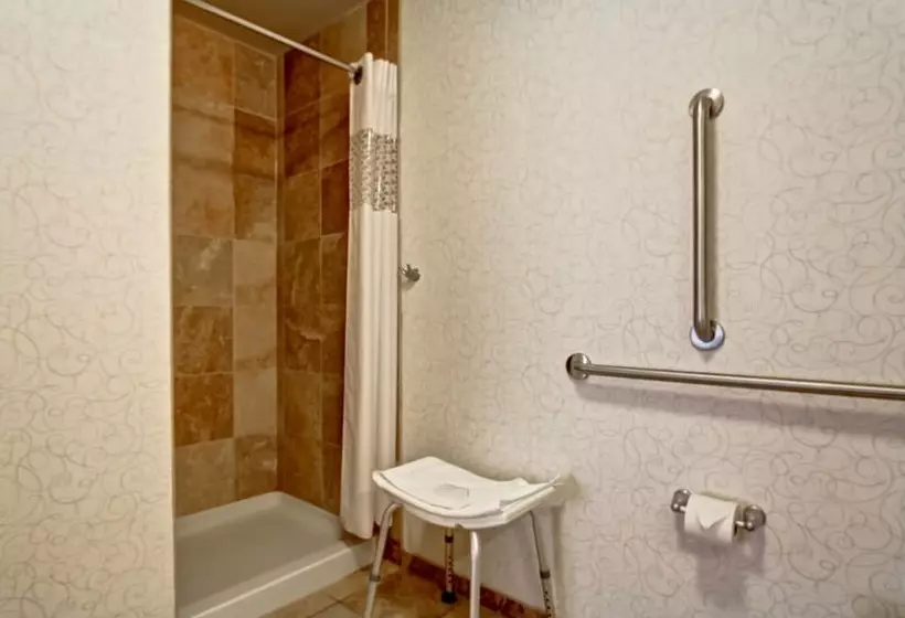 スタンダードルーム, Hampton Inn & Suites By Hilton Red Deer