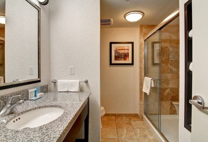 חדר סטנדרט, Hampton Inn & Suites By Hilton Red Deer