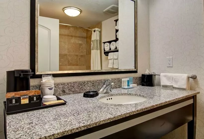 スタンダードルーム, Hampton Inn & Suites By Hilton Red Deer