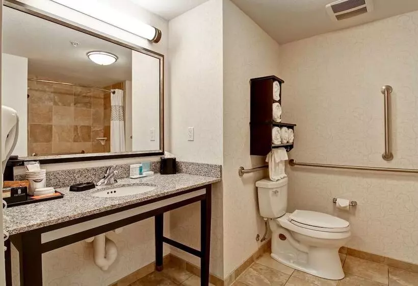 スタンダードルーム, Hampton Inn & Suites By Hilton Red Deer