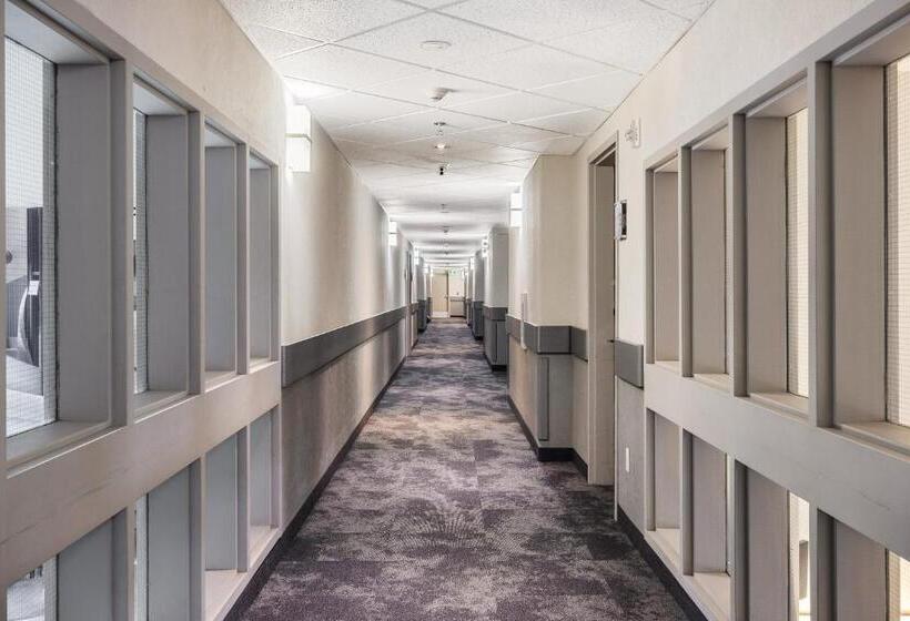 جناح سرير كينج, Home Inn & Suites Yorkton