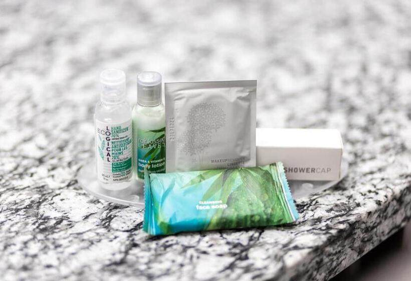 חדר סטנדרט מותאם לאדם עם מוגבלויות, Home Inn & Suites Yorkton