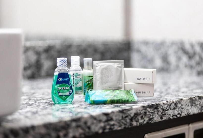 חדר סטנדרט מותאם לאדם עם מוגבלויות, Home Inn & Suites Yorkton