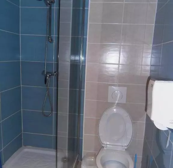 اتاق اکونومی, Hôtel Des Arceaux